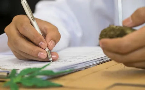 Corpus Christi Online Marijuana Prescription: Step-by-Step Guide