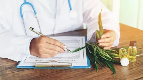 How to Obtain a Medical Cannabis Prescription in San Antonio Quickly