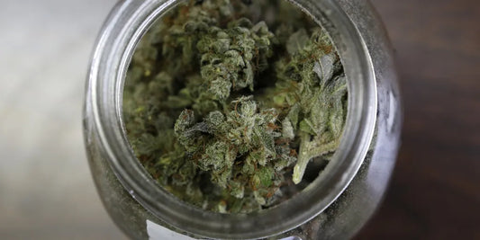 How to Secure a Marijuana Prescription in Houston Legally